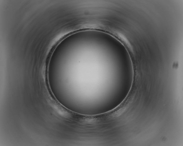 X0000091571035200708201141