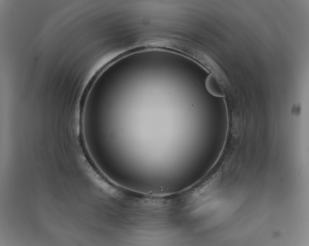 X0000091571036200708201141
