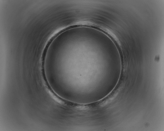 X0000091571037200708201141