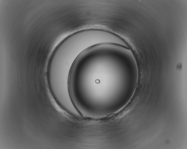 X0000091571038200708201141