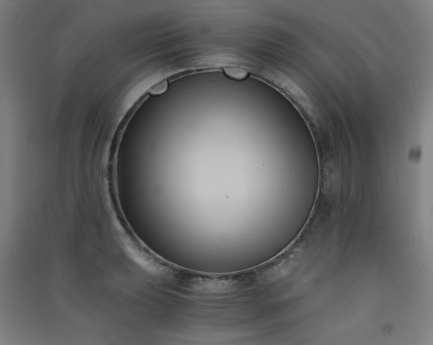 X0000091571039200708201141