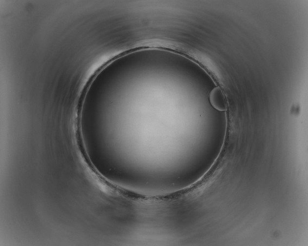 X0000091571040200708201141