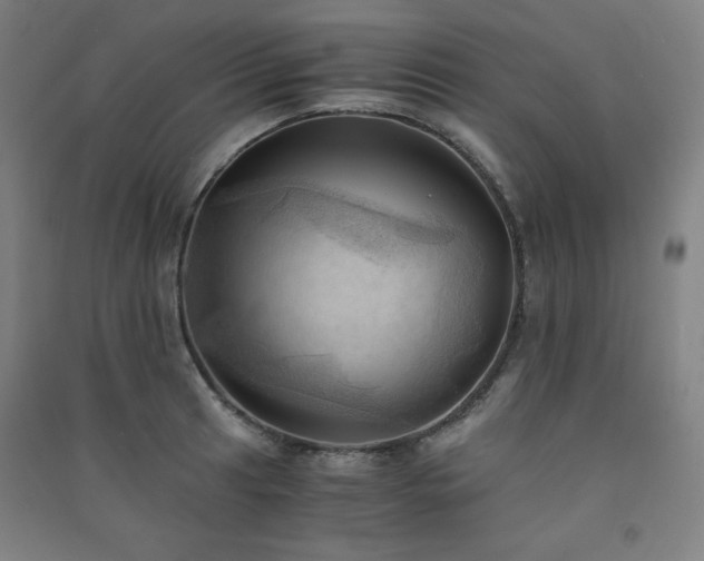 X0000091571041200708201141