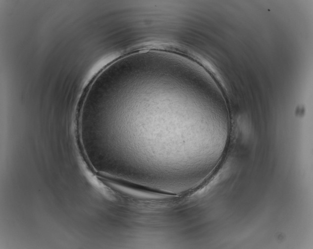 X0000091571042200708201141