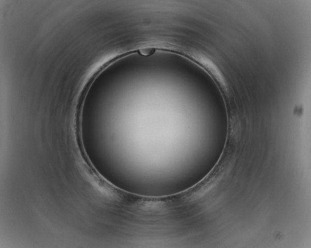 X0000091571043200708201141