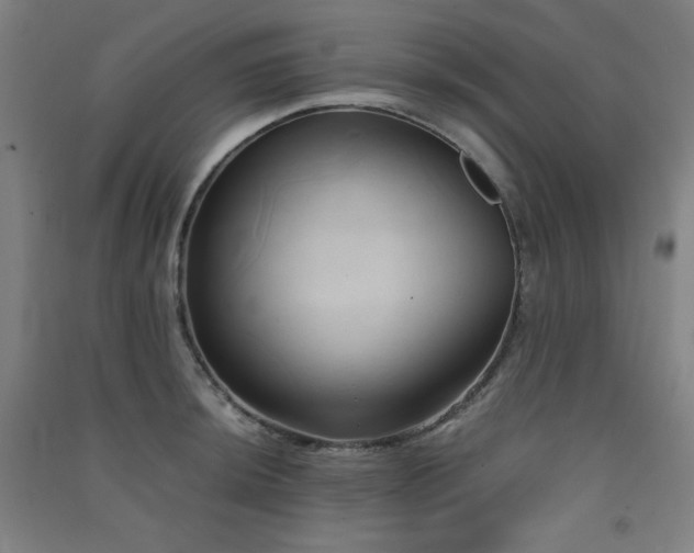 X0000091571044200708201141