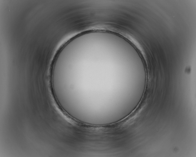X0000091571045200708201141