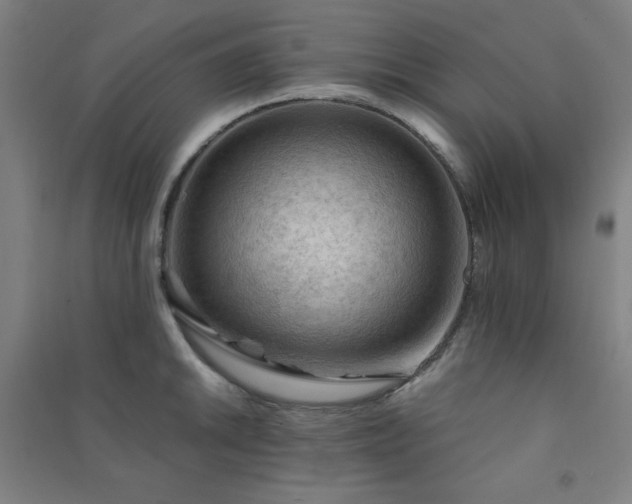 X0000091571046200708201141