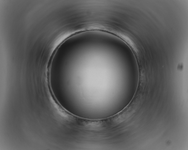 X0000091571047200708201141