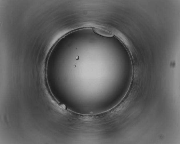 X0000091571048200708201141