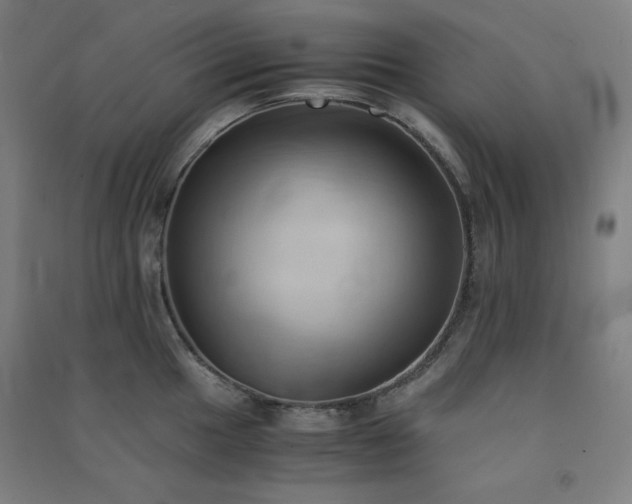 X0000091571049200708201141