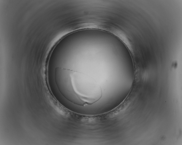 X0000091571051200708201141