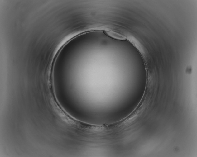X0000091571052200708201141