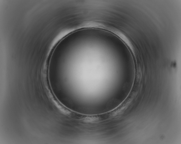 X0000091571053200708201141