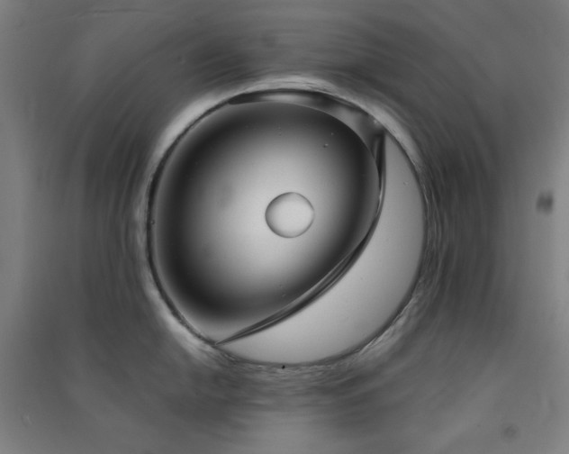 X0000091571054200708201141