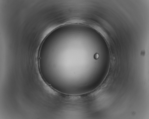 X0000091571055200708201141