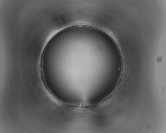 X0000091571056200708201141