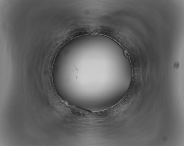 X0000091571057200708201140