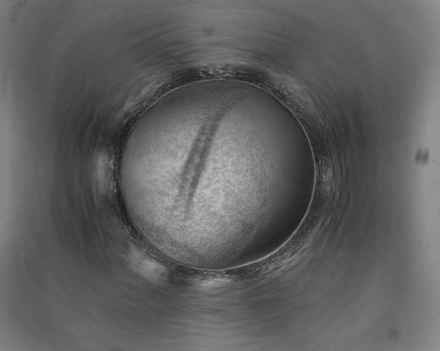 X0000091571060200708201140