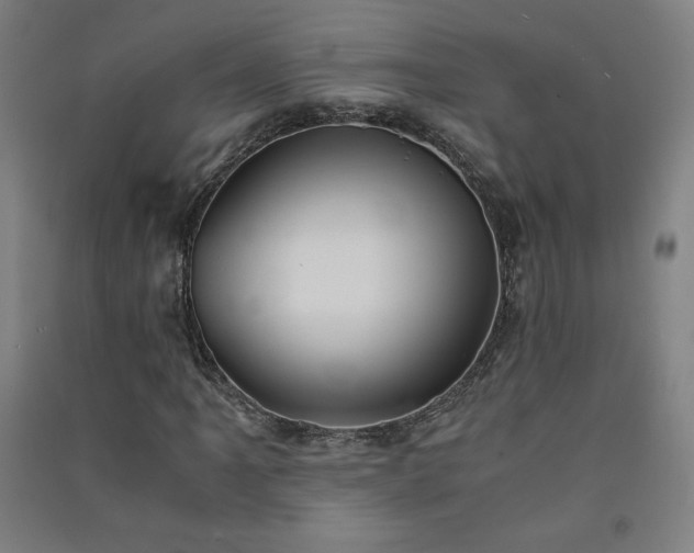 X0000091571061200708201140