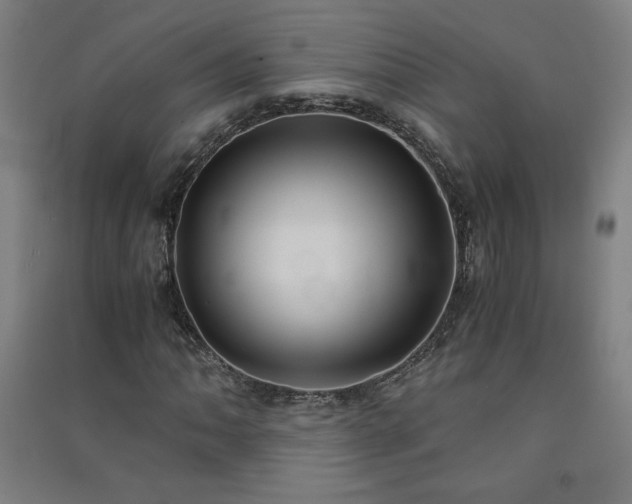 X0000091571062200708201140