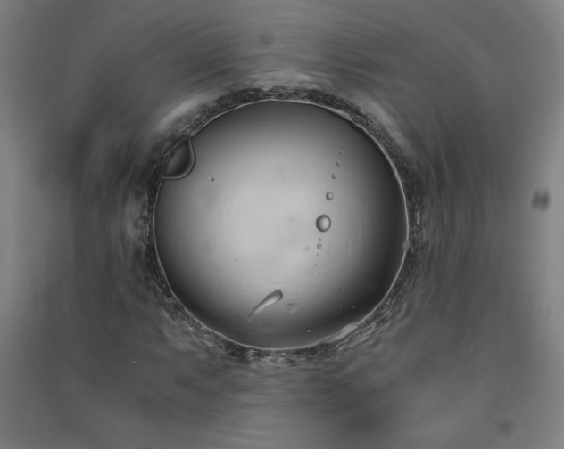 X0000091571063200708201140