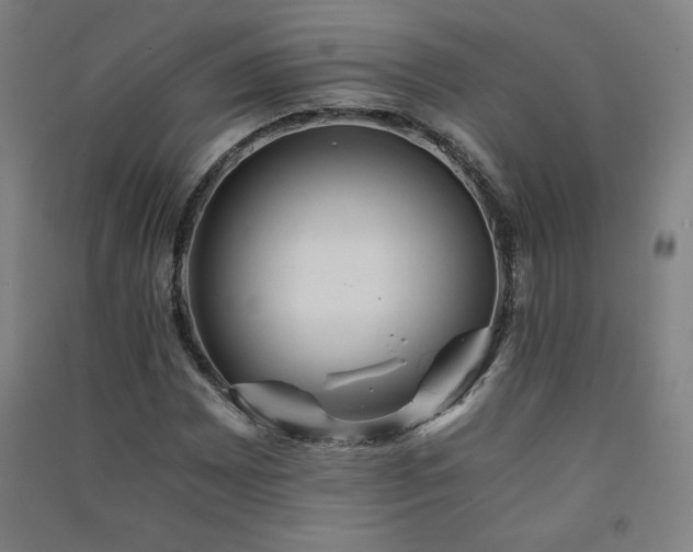 X0000091571065200708201140
