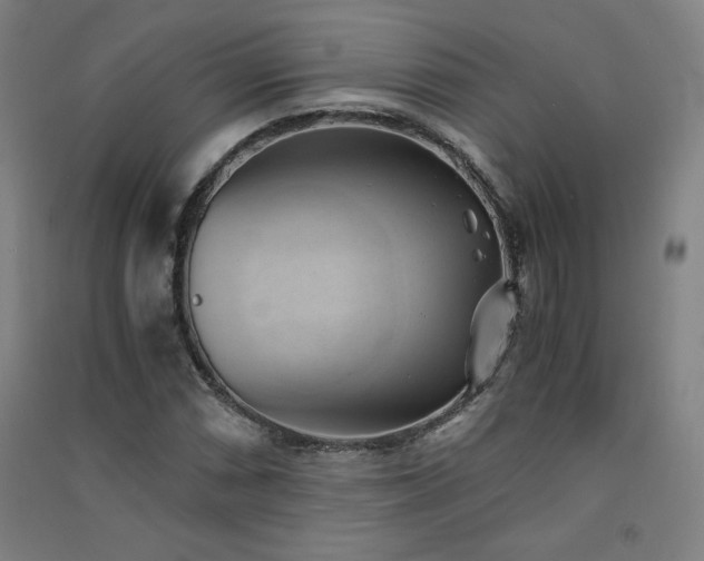 X0000091571066200708201140