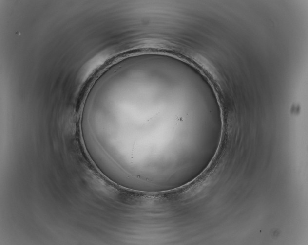 X0000091571067200708201140