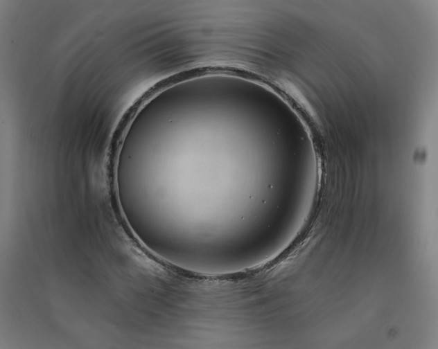 X0000091571068200708201140
