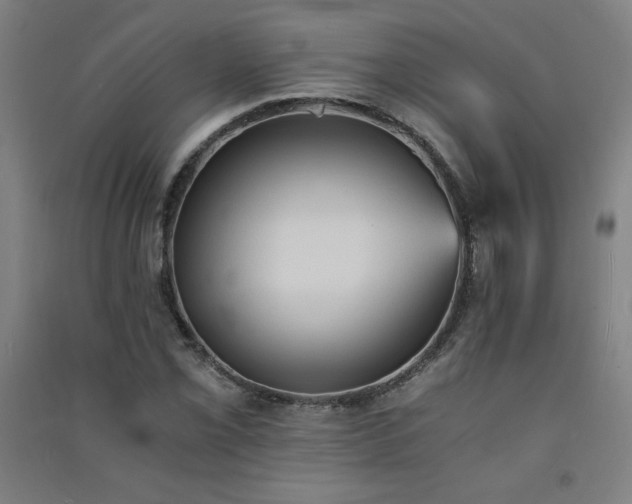 X0000091571069200708201140