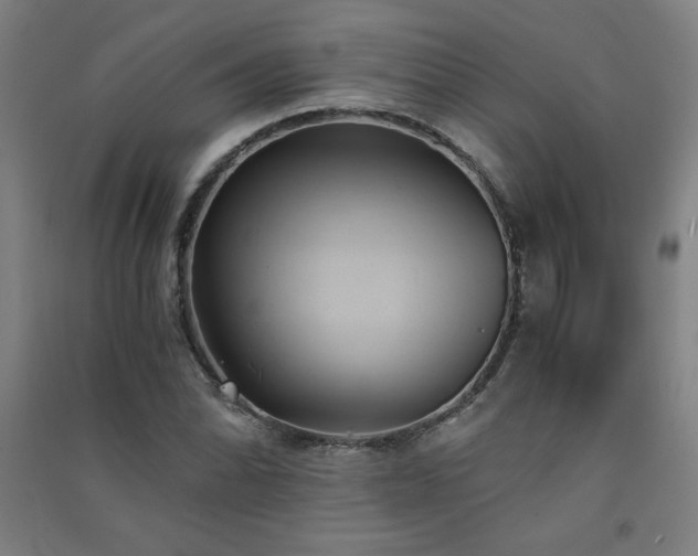 X0000091571070200708201140