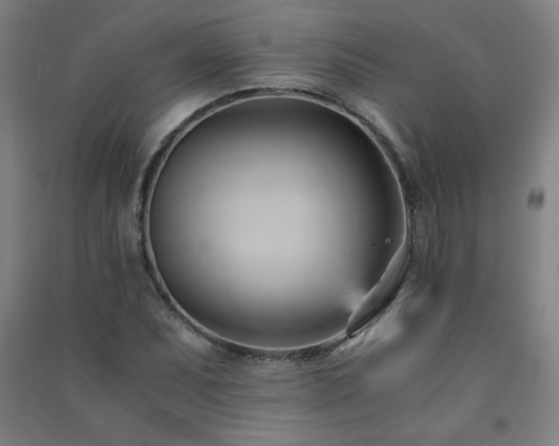 X0000091571071200708201140