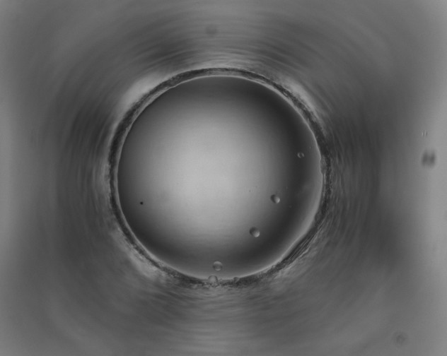 X0000091571072200708201140