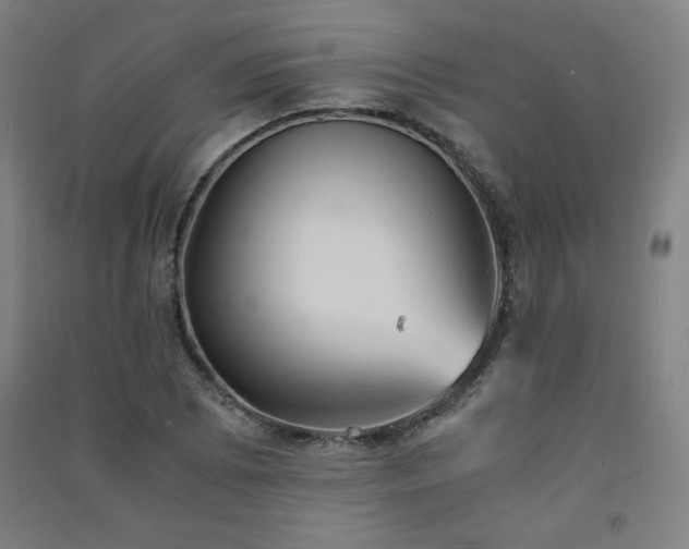 X0000091571073200708201140