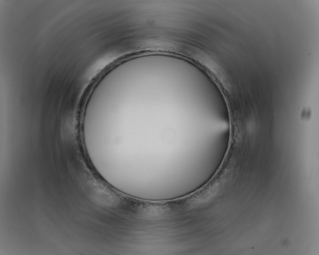 X0000091571074200708201140