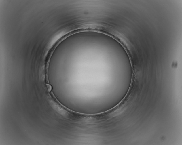 X0000091571075200708201140
