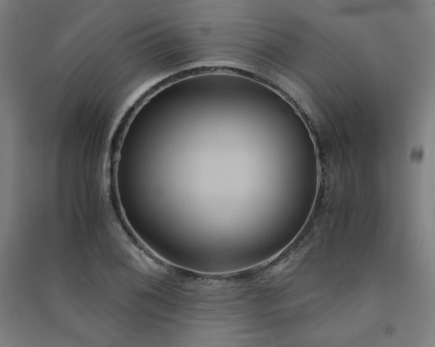 X0000091571076200708201140