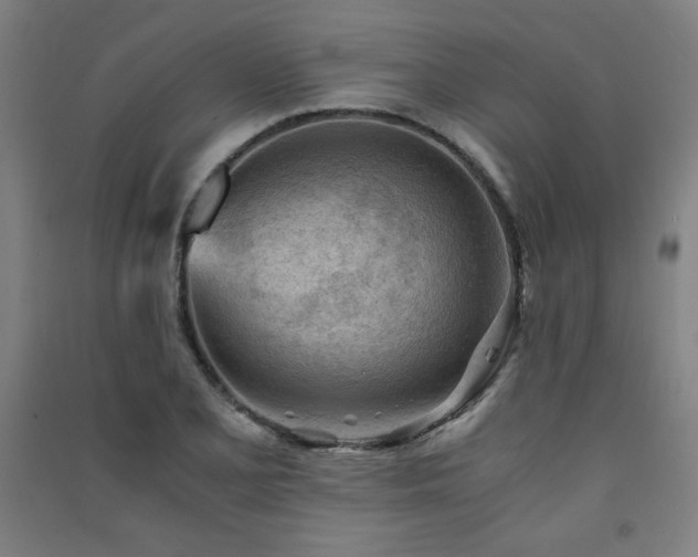 X0000091571077200708201140