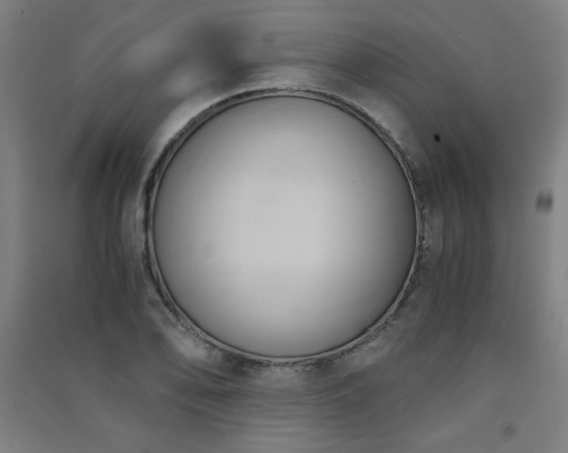 X0000091571078200708201140