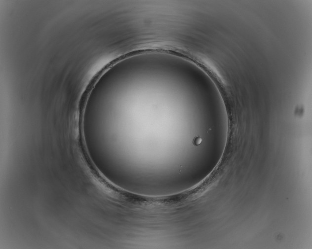 X0000091571079200708201140