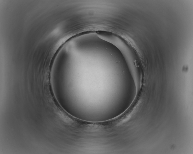 X0000091571081200708201140