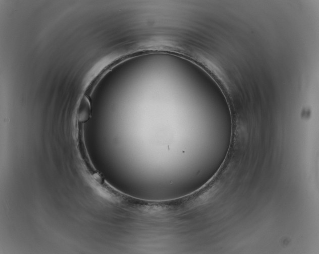 X0000091571082200708201140