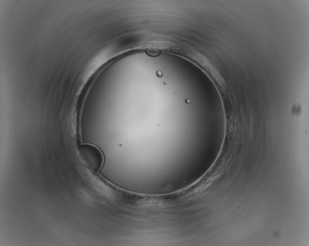 X0000091571083200708201140