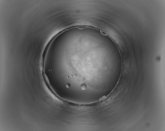 X0000091571084200708201140