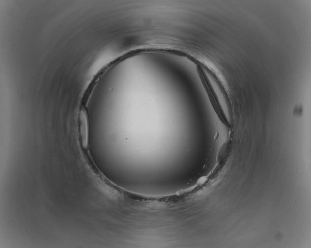 X0000091571085200708201140