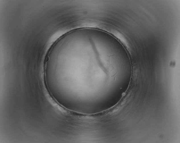 X0000091571088200708201140