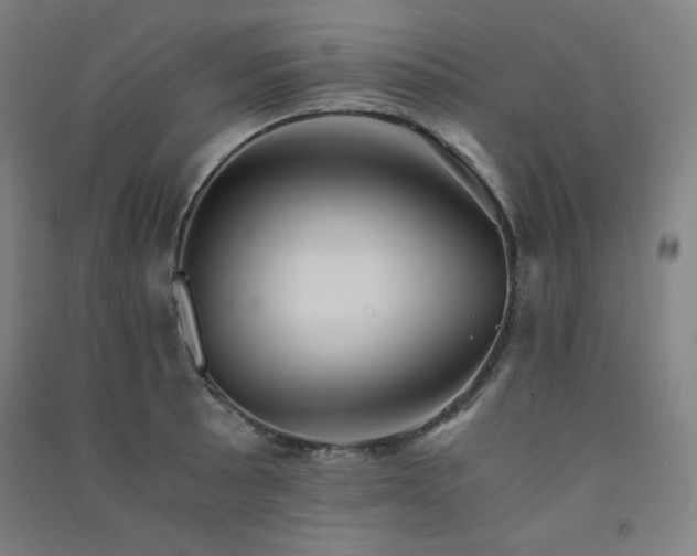 X0000091571089200708201140