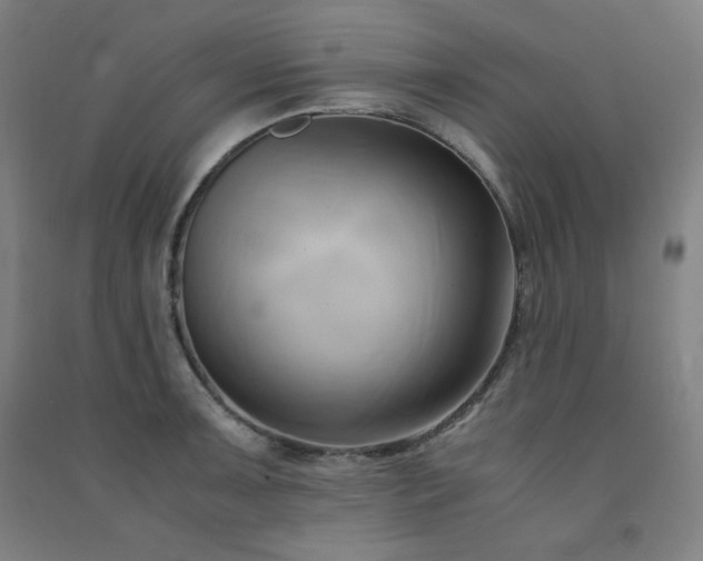 X0000091571091200708201140