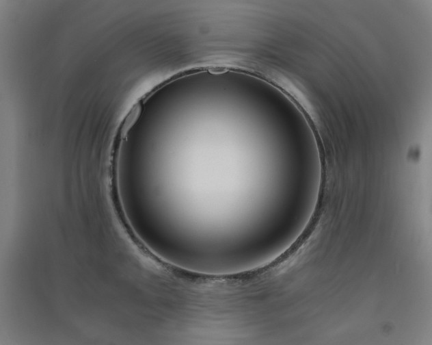 X0000091571093200708201140